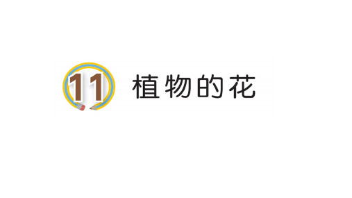 2020青岛版小学科学三年级下册11.植物的花课件