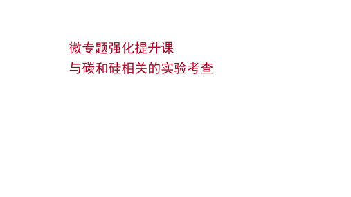 2022版高三化学人教版一轮复习课件：微专题提升课 与碳和硅相关的实验考查