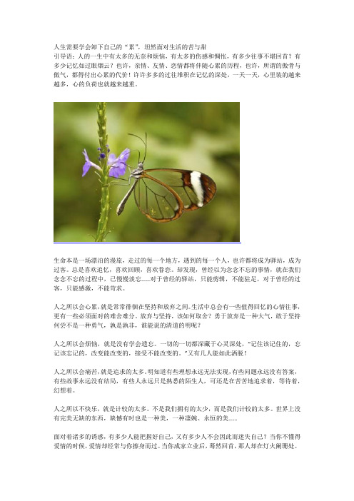 人生需要学会卸下自己的“累”,坦然面对生活的苦与甜