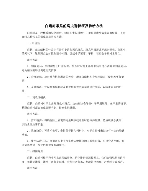 白蜡树常见的病虫害特征及防治方法