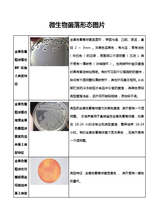 微生物菌落特征形态等总结大全(表格带图片)