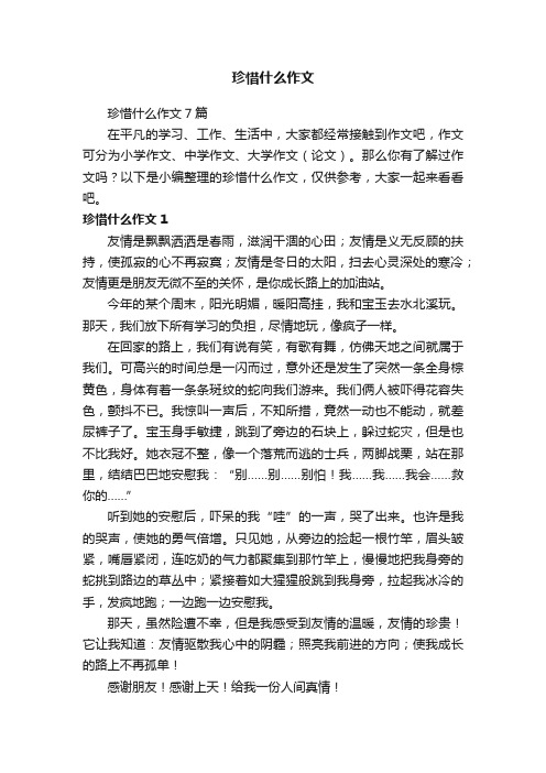 珍惜什么作文7篇