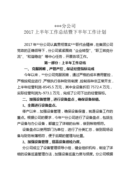 2017上半年工作总结下半年年工作计划(化工)