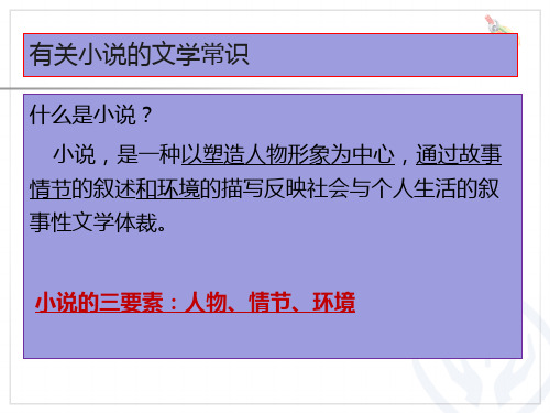 有关小说的文学常识ppt课件