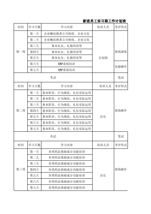 新进员工实习期工作计划表