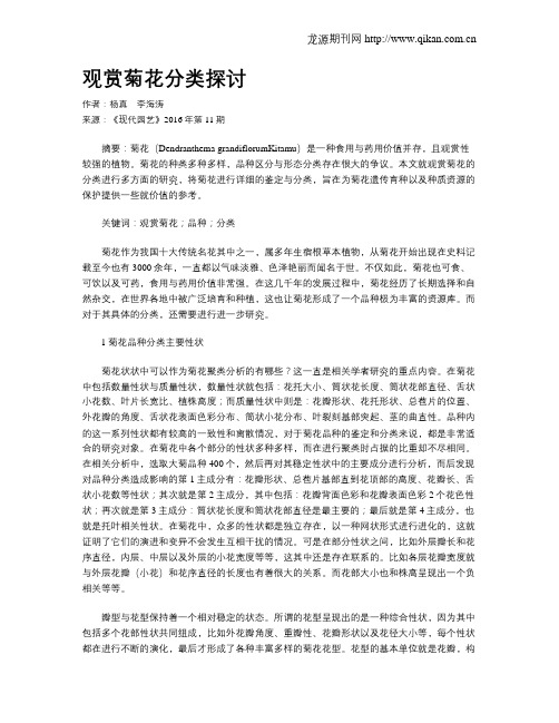 观赏菊花分类探讨