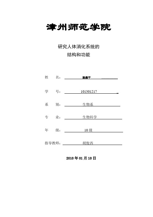 人体消化系统 论文