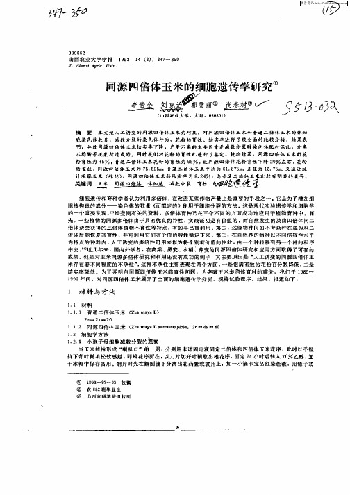 同源四倍体玉米的细胞遗传学研究