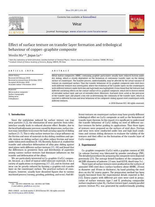 Effect of surface texture on transfer layer formation and tribological behaviour of copper