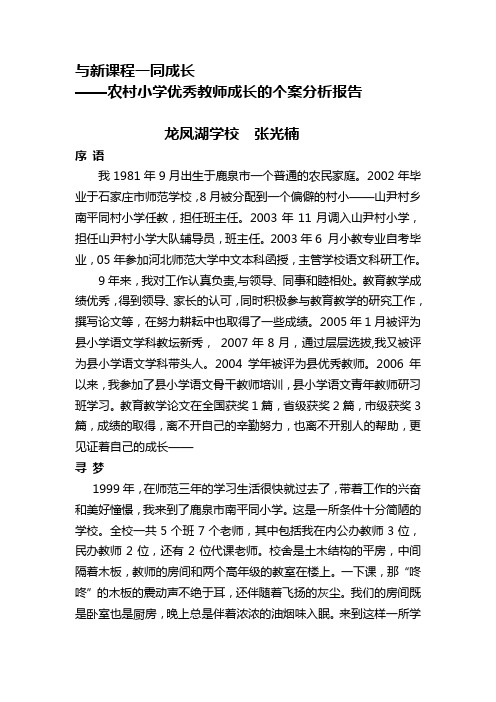 教师个案分析