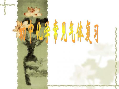 中考复习 初中化学常见气体复习 ( 24张PPT)