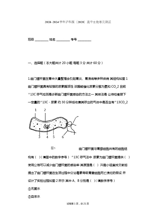 2023-2024学年高中生物沪科版(2020)选择性必修3第1章 发酵工程单元测试(含答案解析)