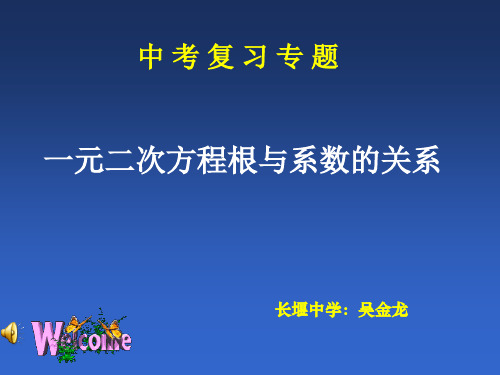 中考复习之一元二次方程根与系数的关系