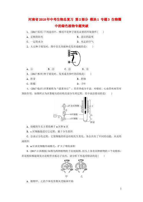 河南省中考生物总复习 第2部分 模块1 专题3 生物圈中的绿色植物专题突破