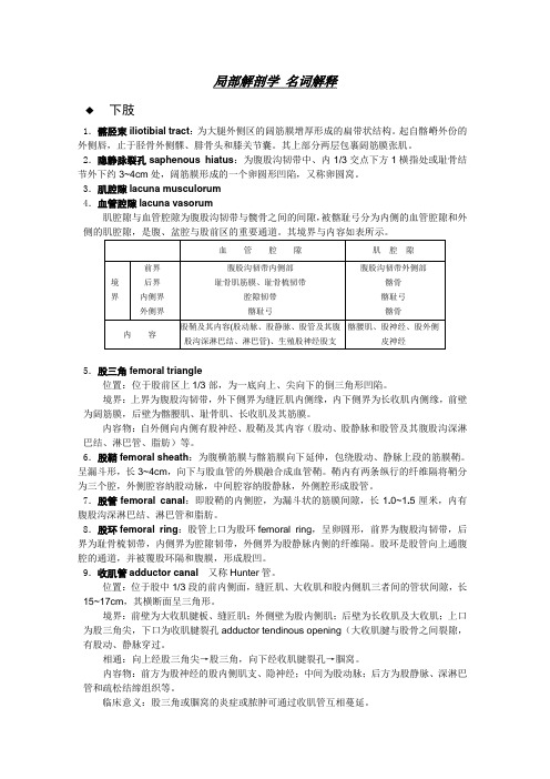 局部解剖学 名词解释