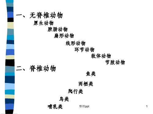 动物的分类全面版