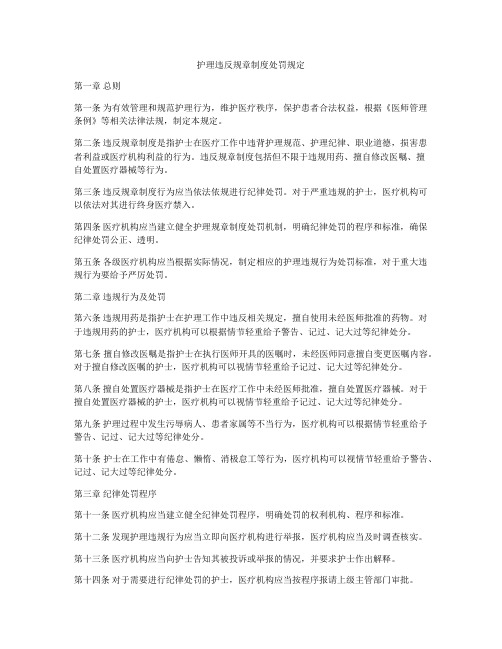 护理违反规章制度处罚规定