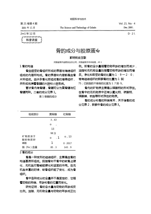 骨的成分与胶原蛋白