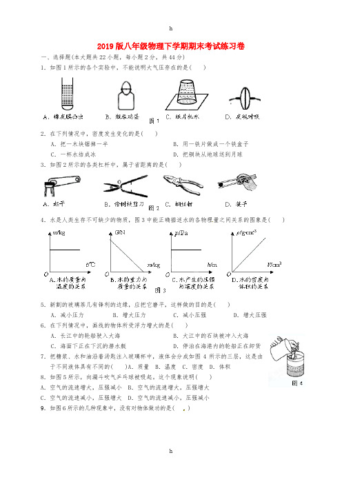 2019版八年级物理下学期期末考试练习卷