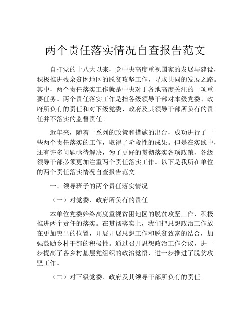 两个责任落实情况自查报告范文