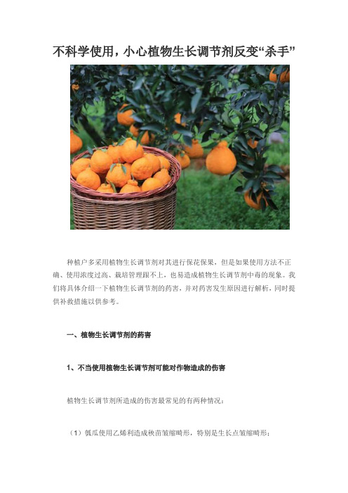 不科学使用,小心植物生长调节剂反变“杀手”