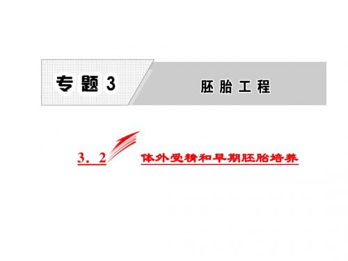 2017-2018人教版高中生物选修三课件：专题3 3.2 体外受精和早期胚胎培养