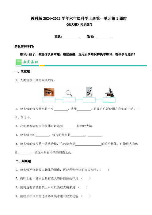 教科版2024-2025学年六年级科学上册第一单元第1课时《放大镜》同步练习(含答案)