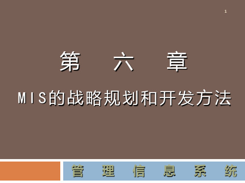 第六章MIS的战略规划和开发方法PPT课件