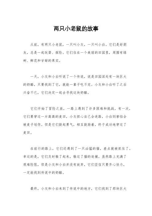 两只小老鼠的故事