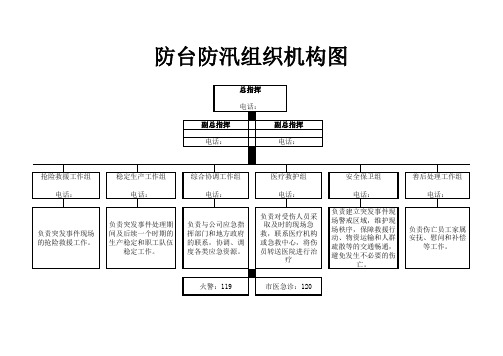 光伏电站应急救援体系图(适用于所有防台防汛组织行业)