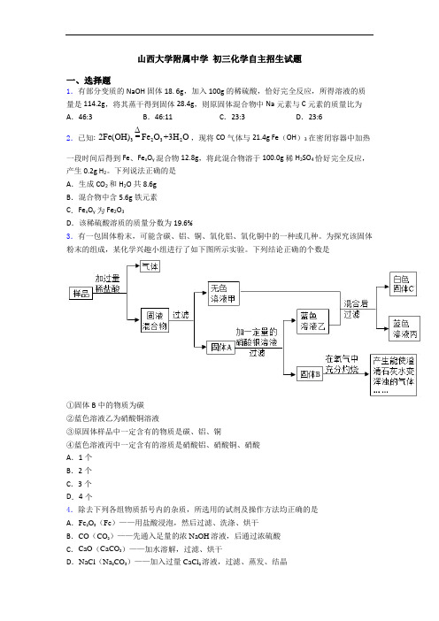 山西大学附属中学 初三化学自主招生试题