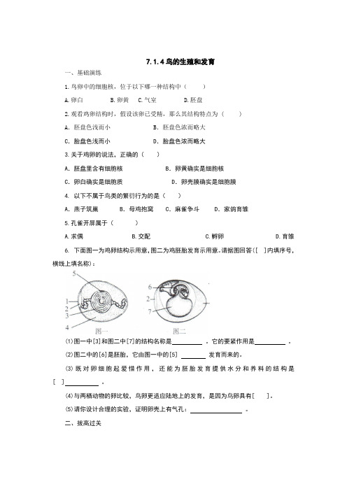 人教版八年级生物下册7.1.4鸟的生殖和发育习题含答案