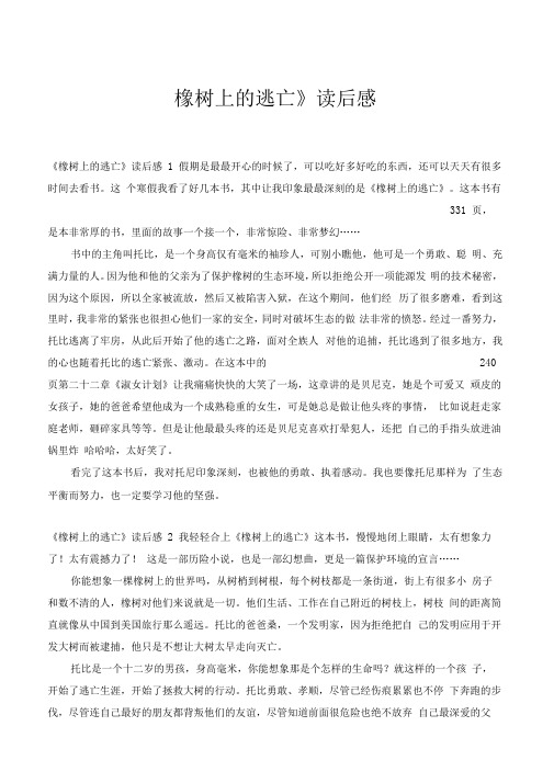 《橡树上的逃亡》读后感