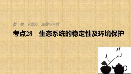 高考生物二轮复习生态系统的稳定性及环境保护名师公开课市级获奖课件(全国通用)