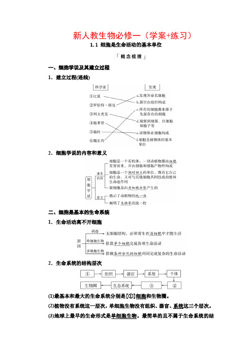 新人教生物必修一(学案+练习)1