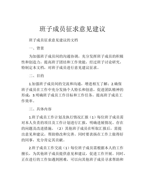 班子成员征求意见建议