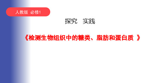 检测生物组织中的糖类脂肪和蛋白质说课课件高一上学期生物人教版必修一