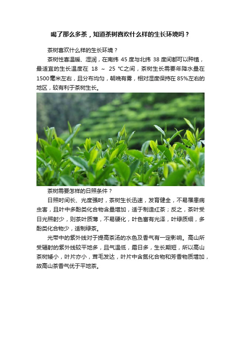 喝了那么多茶，知道茶树喜欢什么样的生长环境吗？