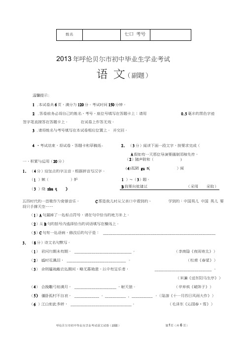 2013语文中考副题