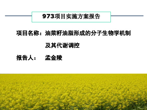 973项目实施方案报告：油菜籽油脂形成的分子生物学机制及其代谢调控