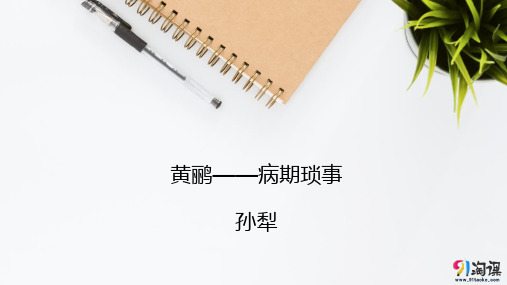 课件2:黄鹂——病期琐事