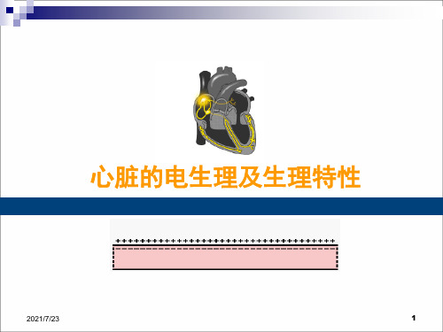 心脏的电生理学和生理特性PPT课件