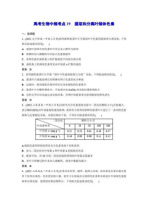 高考生物中频考点19 提取和分离叶绿体色素