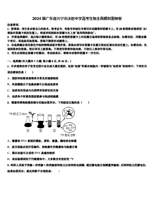 2024届广东省兴宁市沐彬中学高考生物全真模拟密押卷含解析