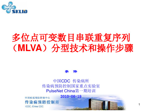 MLVA分型技术和实验操作步骤