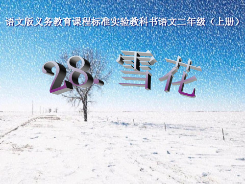 《雪花》PPT课件