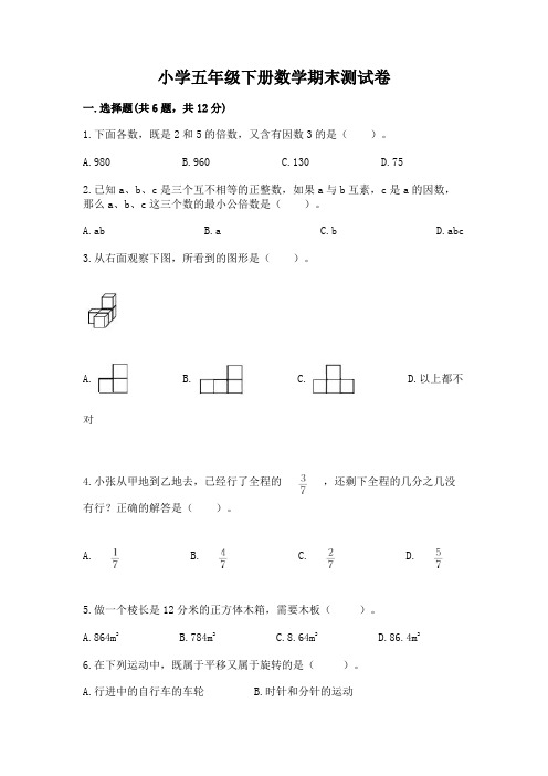 小学五年级下册数学期末测试卷附答案(模拟题)