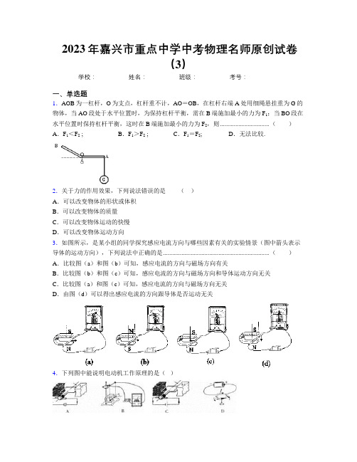 2023年嘉兴市重点中学中考物理名师原创试卷(3)