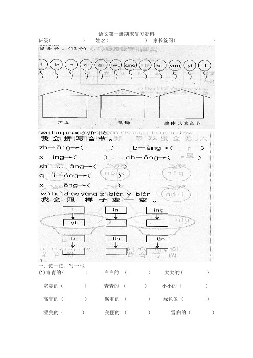 语文第一册期末复习资料(打印)