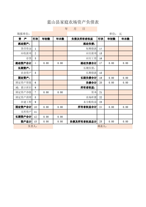 家庭农场会计报表